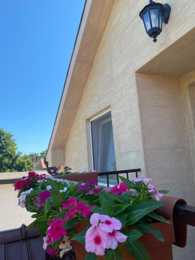 Omis Rooms Панчево Екстер'єр фото